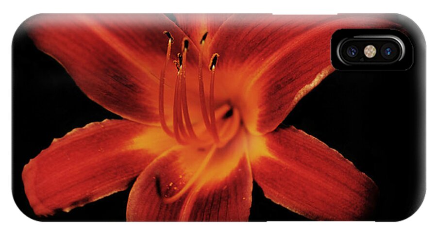 Lily iPhone X Case featuring the photograph Fire Lily by Michael Porchik