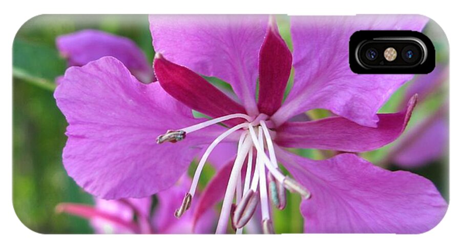 Fireweed iPhone X Case featuring the photograph Fireweed 1 by Martin Howard