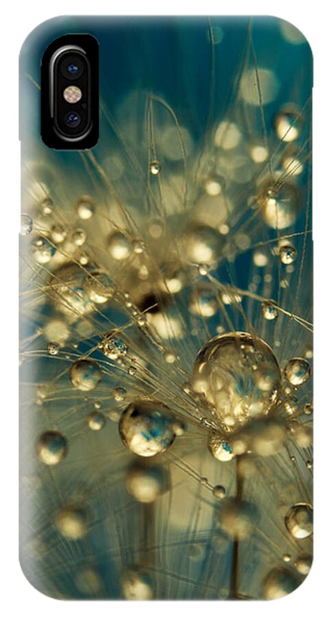 Dandelion iPhone X Case featuring the photograph Firework Dandy in Blue by Sharon Johnstone