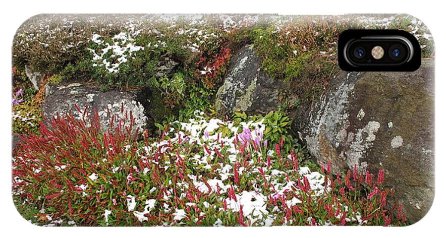 Floral iPhone X Case featuring the photograph First Autumn Snow by Barbara McDevitt