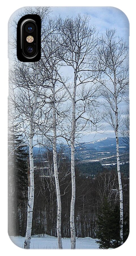 Birch Tree iPhone X Case featuring the photograph Five Birch Trees by Vance Bell