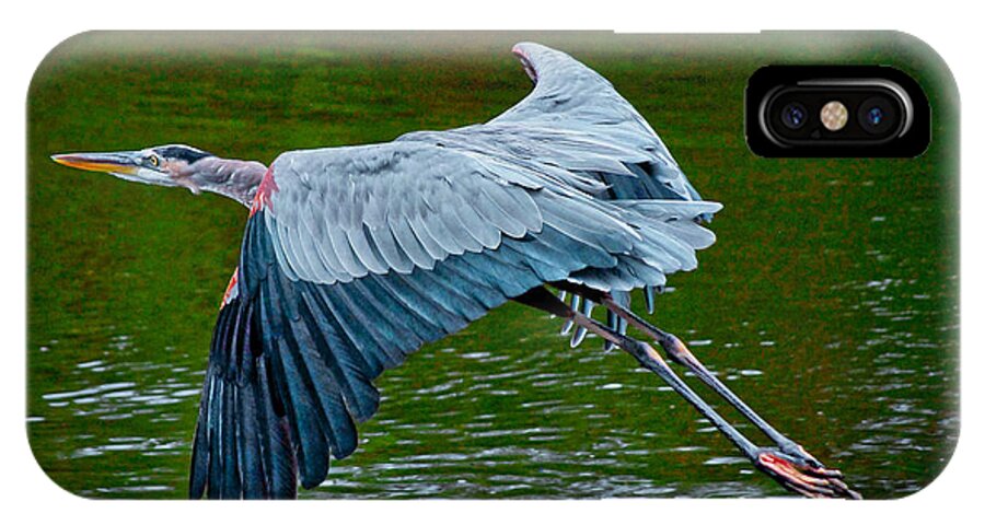 Bird iPhone X Case featuring the photograph Flight by Quinn Sedam