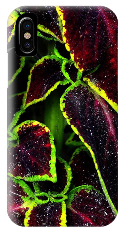 Flora iPhone X Case featuring the photograph Flora Psychadelica by Gene Tatroe