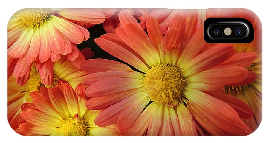 Flower iPhone X Case featuring the photograph Floral Frenzy 2 by Robert Mitchell