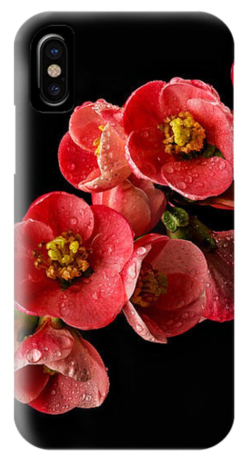 Quince iPhone X Case featuring the photograph Flowering Quince by Mary Jo Allen