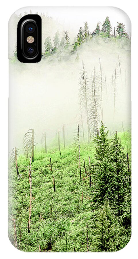 National Forest iPhone X Case featuring the photograph Fog And Trees by Craig Perry-Ollila