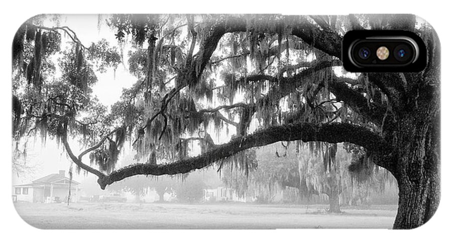 Live Oak iPhone X Case featuring the photograph Foggy Morning on Coosaw Plantation by Scott Hansen