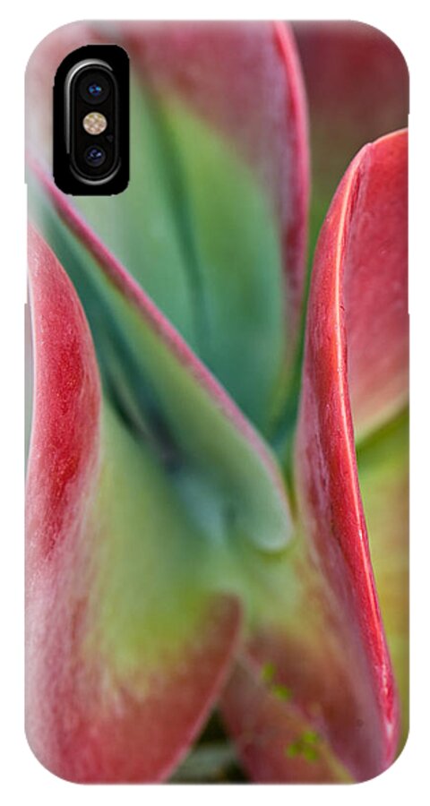 Flower iPhone X Case featuring the photograph Curves by Jean-Pierre Ducondi