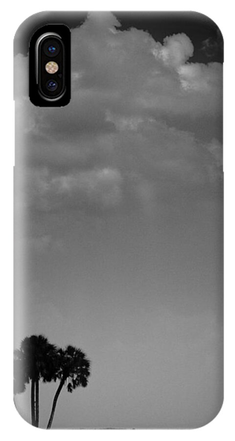Palm iPhone X Case featuring the photograph Four Palms by Bradley R Youngberg