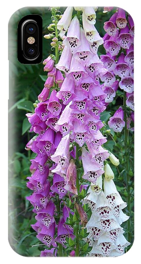 Flower Canvas Prints iPhone X Case featuring the photograph Foxglove After The Rains by Eunice Miller