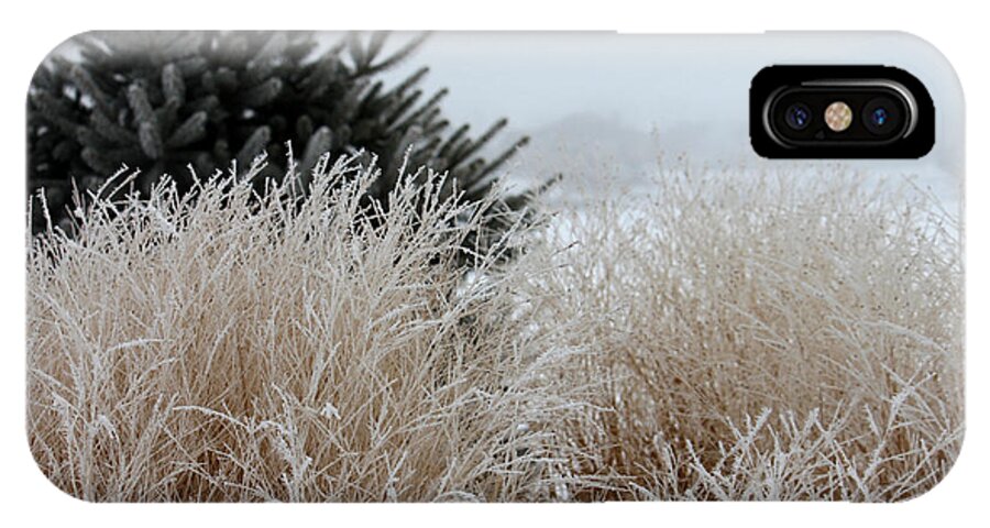 Grass iPhone X Case featuring the photograph Frosted Grasses by Debbie Hart
