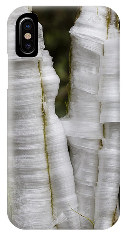 Ice iPhone X Case featuring the photograph Frostweed Ice Curls by Steven Schwartzman