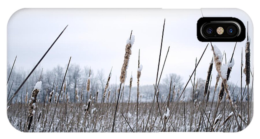 Cattails iPhone X Case featuring the photograph Frosty Cattails by Jim Shackett