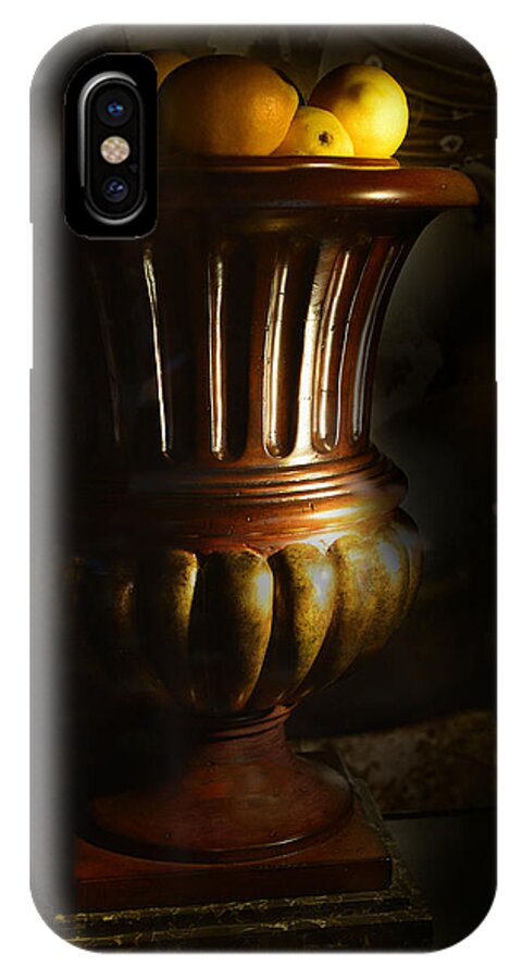 Vase iPhone X Case featuring the photograph Fruitful by Patricia Dennis