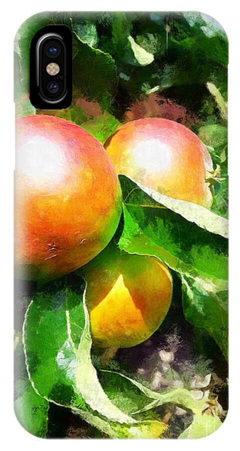 Digital iPhone X Case featuring the painting Fugly Manor Apples by Vix Edwards