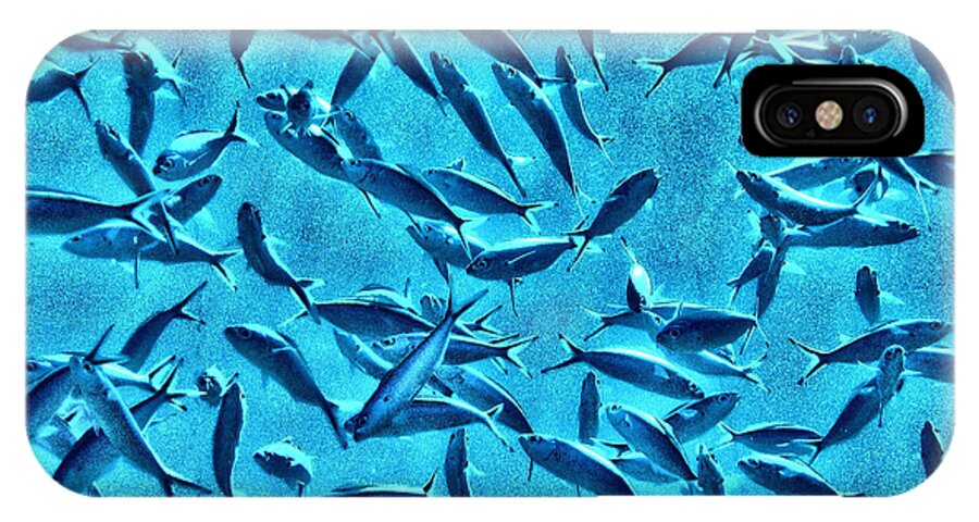 Abstract iPhone X Case featuring the digital art Fusilier Fish by Roy Pedersen