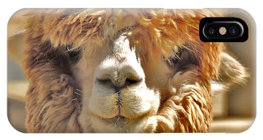 Huacaya Alpaca iPhone X Case featuring the photograph Fuzzy Wuzzy Alpaca by Helen Carson