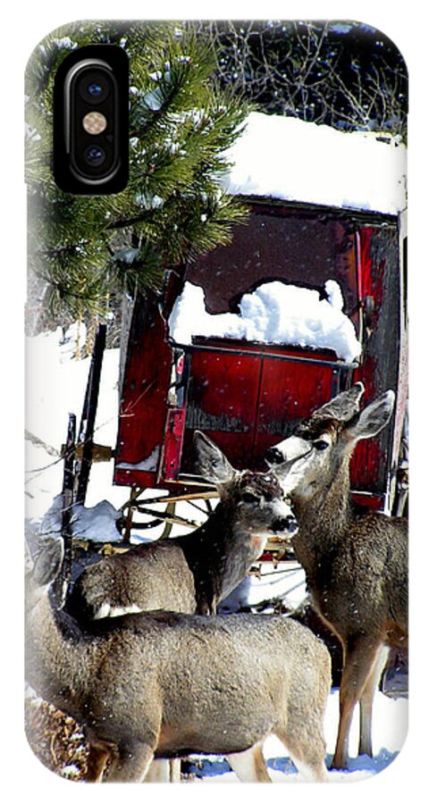 Animal Photography iPhone X Case featuring the photograph Gathering at the old stage coach.. by George Tuffy
