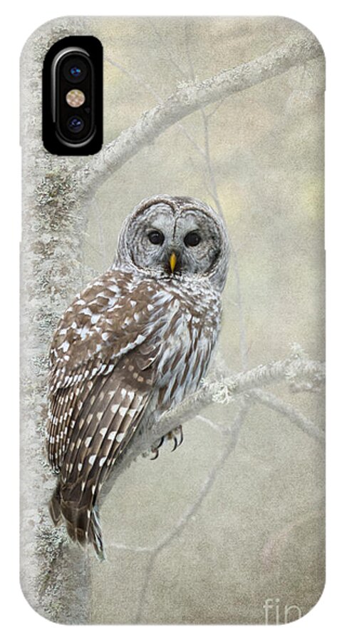 Bird Of Prey iPhone X Case featuring the photograph Guardian of the Woods by Beve Brown-Clark Photography