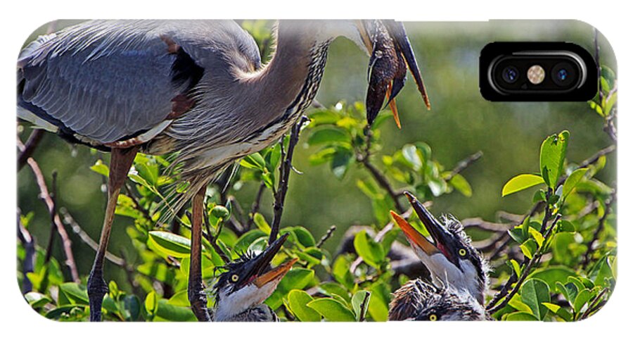 Great Blue Heron iPhone X Case featuring the photograph Great Blue Heron Lunch Alfresco by Larry Nieland