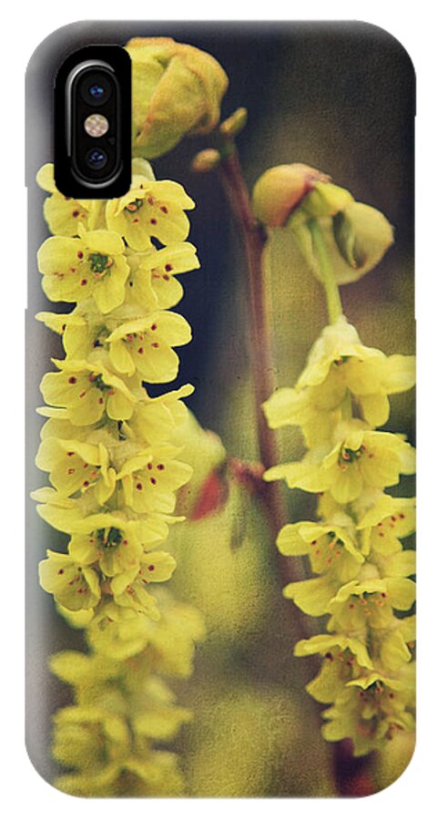 Flowers iPhone X Case featuring the photograph Gently Falling by Laurie Search