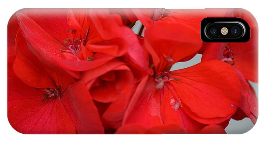 Geranium Red iPhone X Case featuring the photograph Geranium Red by Maria Urso