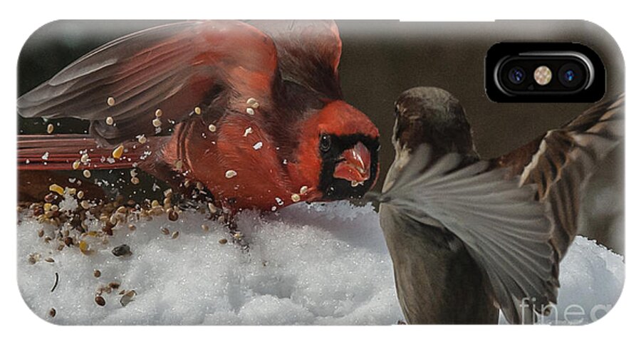 2014 iPhone X Case featuring the photograph Get Off My Feeder by Jim Moore