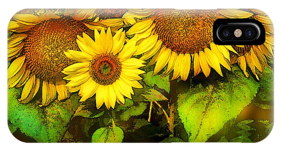 Art iPhone X Case featuring the photograph Giants Sunflowers by Gina Signore