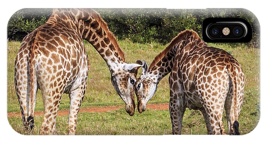 Giraffe iPhone X Case featuring the photograph Giraffe Love by Jennifer Ludlum