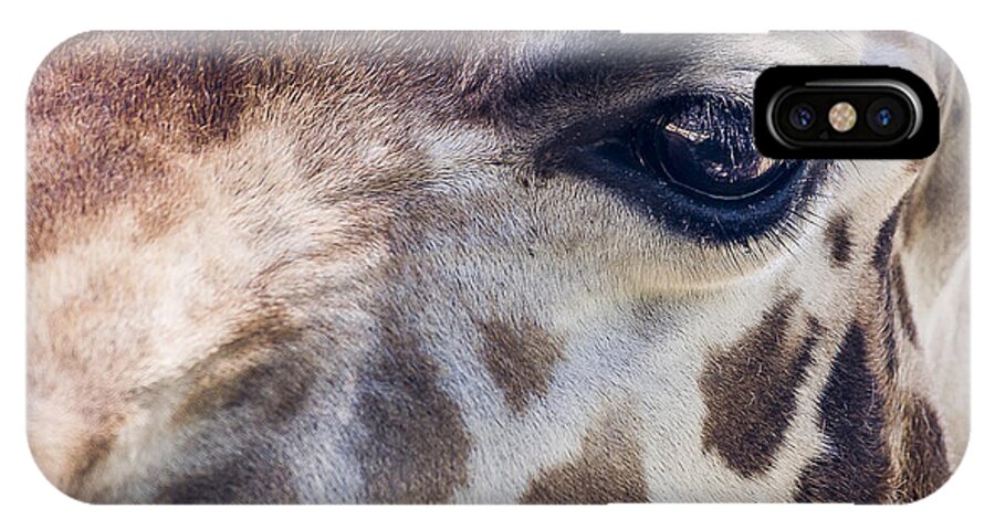 Nimals iPhone X Case featuring the photograph Giraffe by Steven Ralser