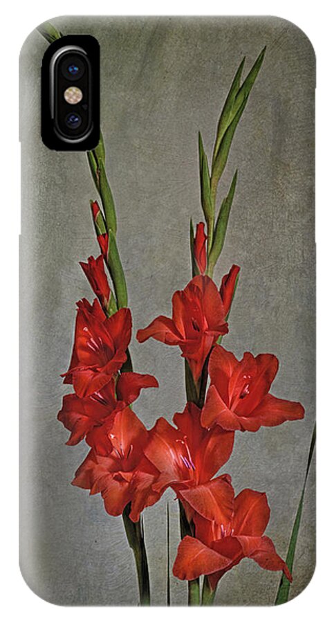 Gladiolus iPhone X Case featuring the photograph Gladiolus I by Richard Macquade