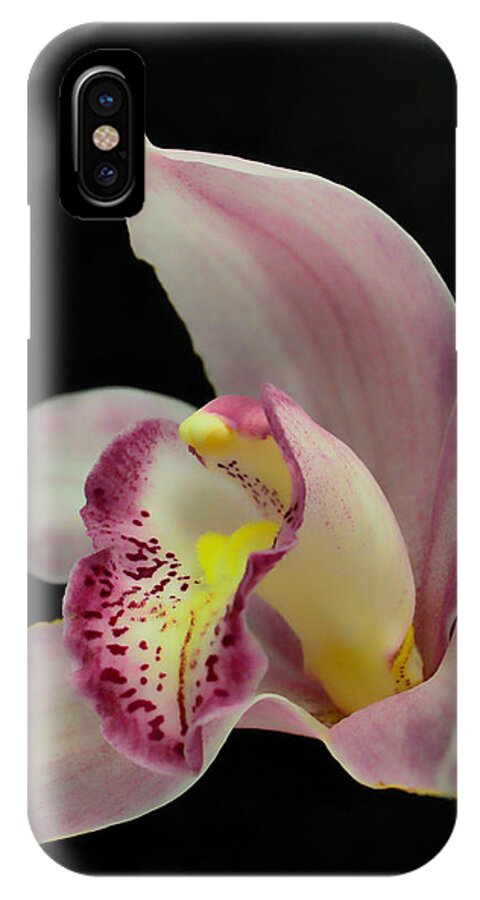 Orchid iPhone X Case featuring the photograph Glamour Pose by Donna Blackhall
