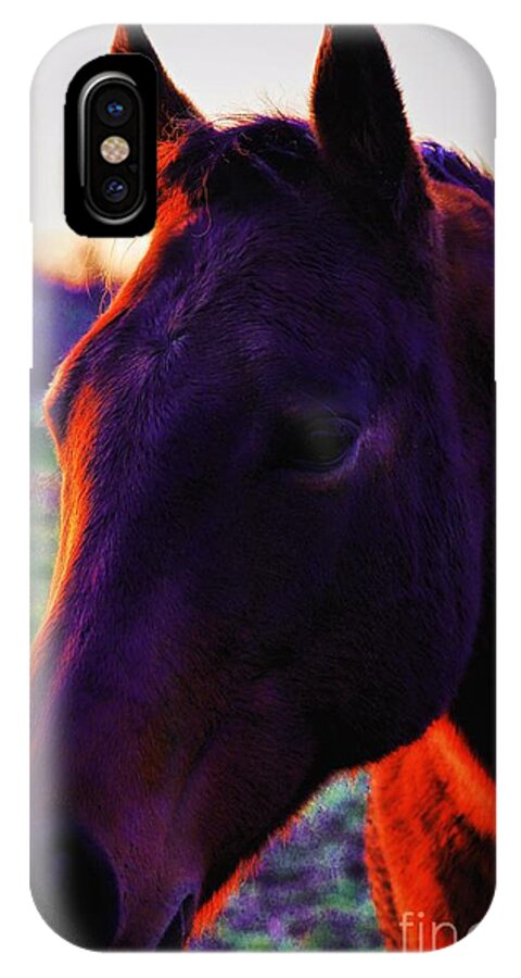 Horses iPhone X Case featuring the photograph Glamour Shot by Robert McCubbin