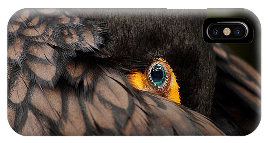 Bird iPhone X Case featuring the photograph Glancing by Lorenzo Cassina