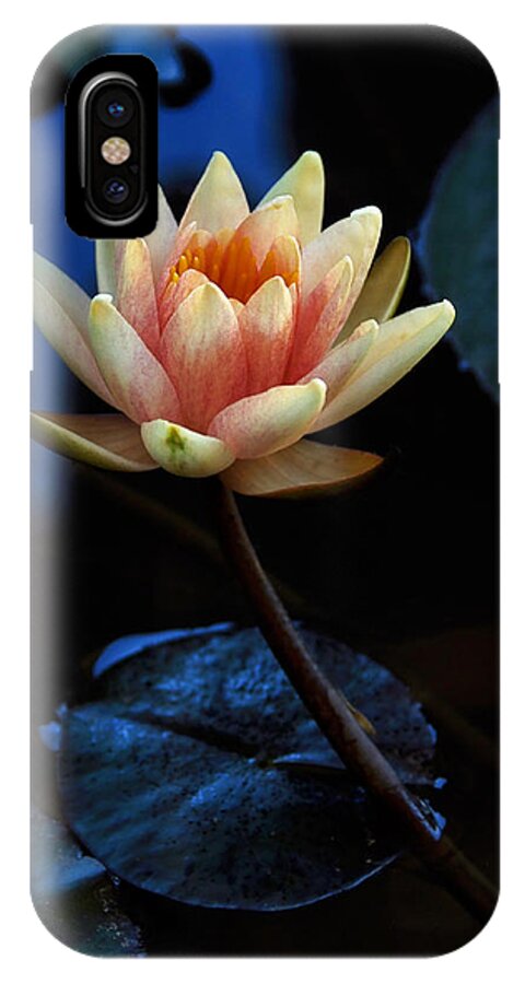 Waterlily iPhone X Case featuring the photograph Glowing Waterlily by Marion McCristall