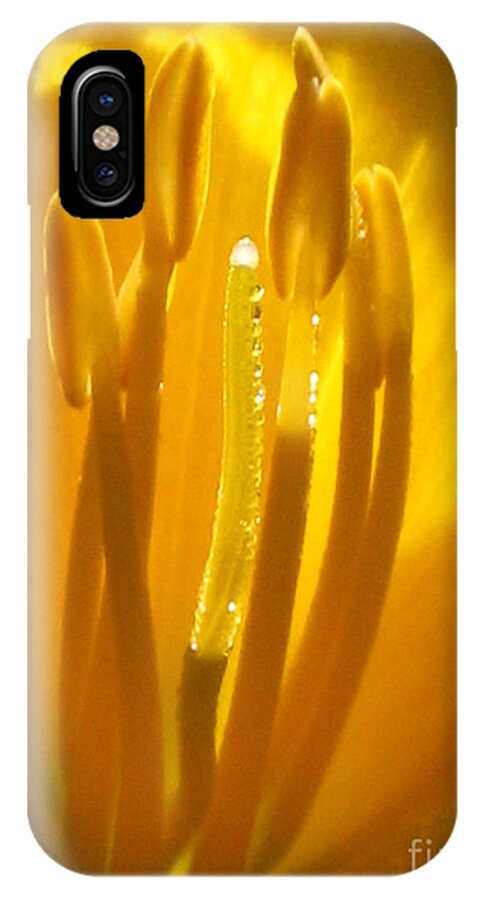 Yellow iPhone X Case featuring the photograph God's light shining through by Jennifer E Doll
