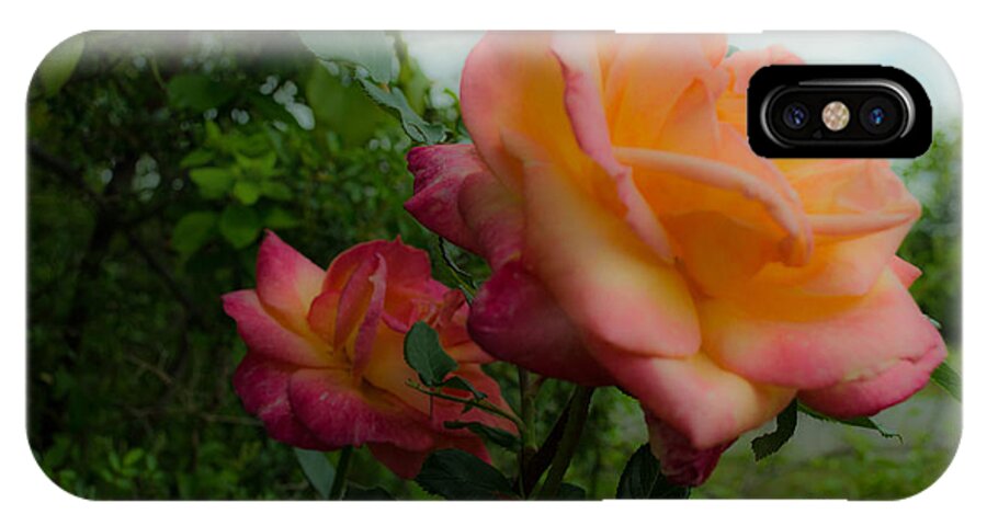 Flower iPhone X Case featuring the photograph God's Roses by Donna Brown