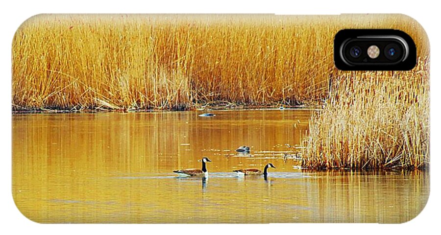 Geese iPhone X Case featuring the photograph Gold and Geese by MTBobbins Photography
