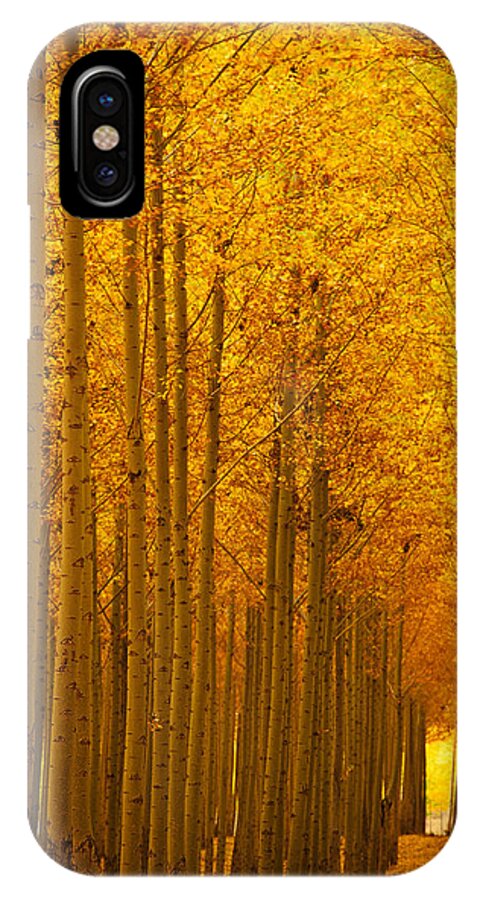 Fall iPhone X Case featuring the photograph Golden Alley by Dan Mihai