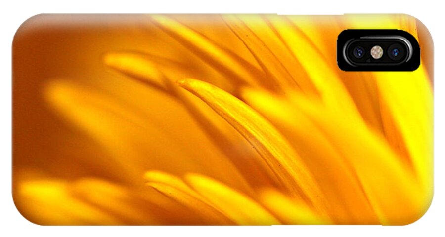 Yellow iPhone X Case featuring the photograph Golden Dahlia by Michael Cinnamond