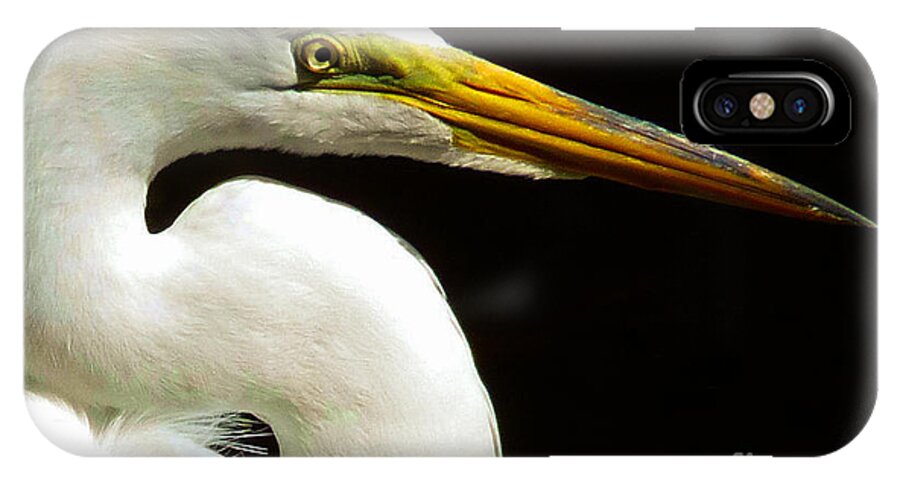 White Egret iPhone X Case featuring the photograph Golden Eye by Susan Duda