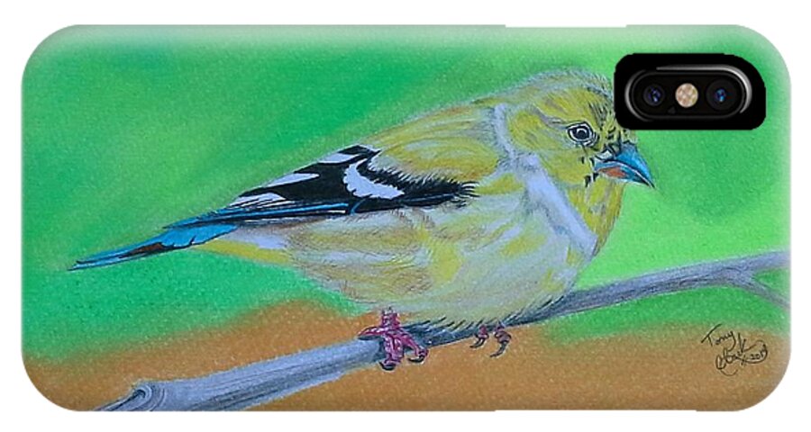 Birds iPhone X Case featuring the drawing Goldfinch by Tony Clark