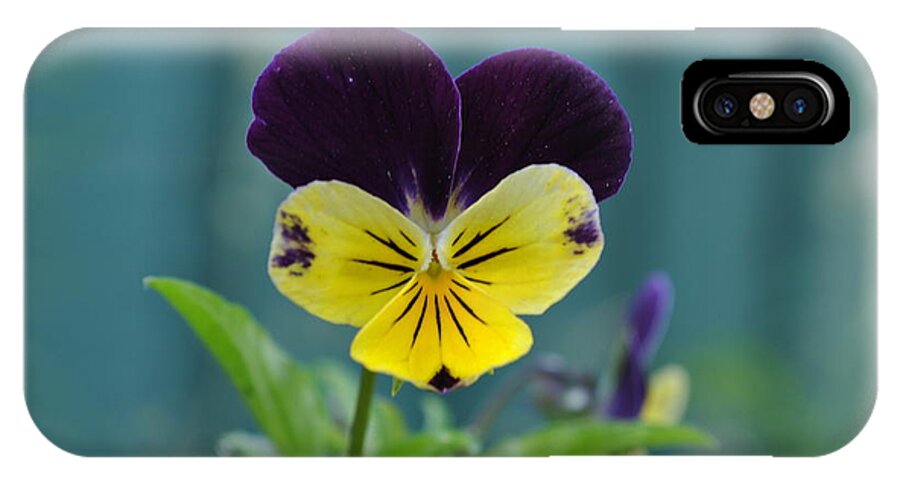 Flower iPhone X Case featuring the photograph Good Morning by Jim Hogg