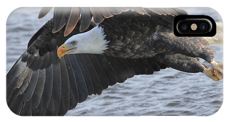 American Bald Eagle iPhone X Case featuring the photograph Got My Eye on You by Coby Cooper