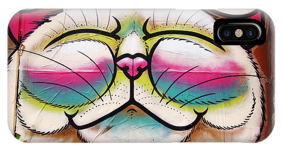 Graffiti iPhone X Case featuring the photograph Graffiti Smiling Cat with Bird by Victoria Herrera