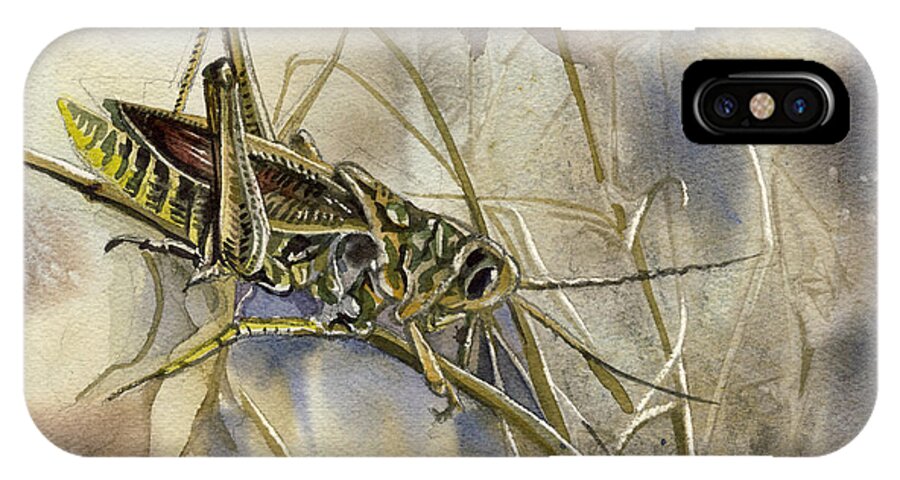 Insect iPhone X Case featuring the painting Grasshopper Watercolor by Alfred Ng
