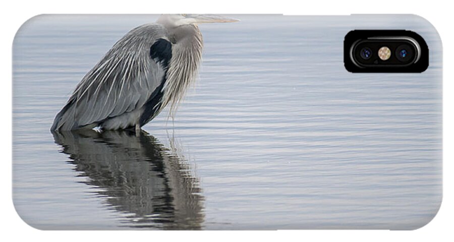 Heron iPhone X Case featuring the photograph Great Blue Heron by Cathy Kovarik
