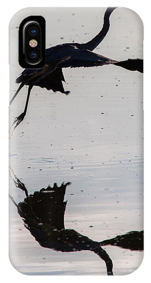Great Blue Heron iPhone X Case featuring the photograph Great Blue Heron Takeoff by John Daly