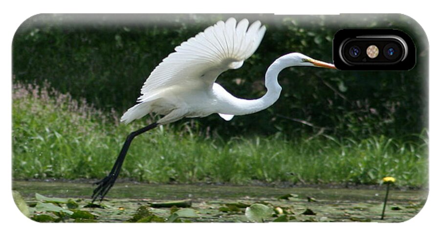 Egret iPhone X Case featuring the photograph Great Egret Elegance  by Neal Eslinger