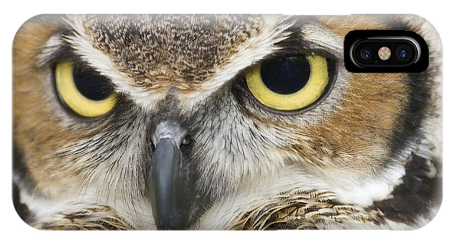 Great Horned Owls iPhone X Case featuring the photograph Great Horned Owl by Jill Lang